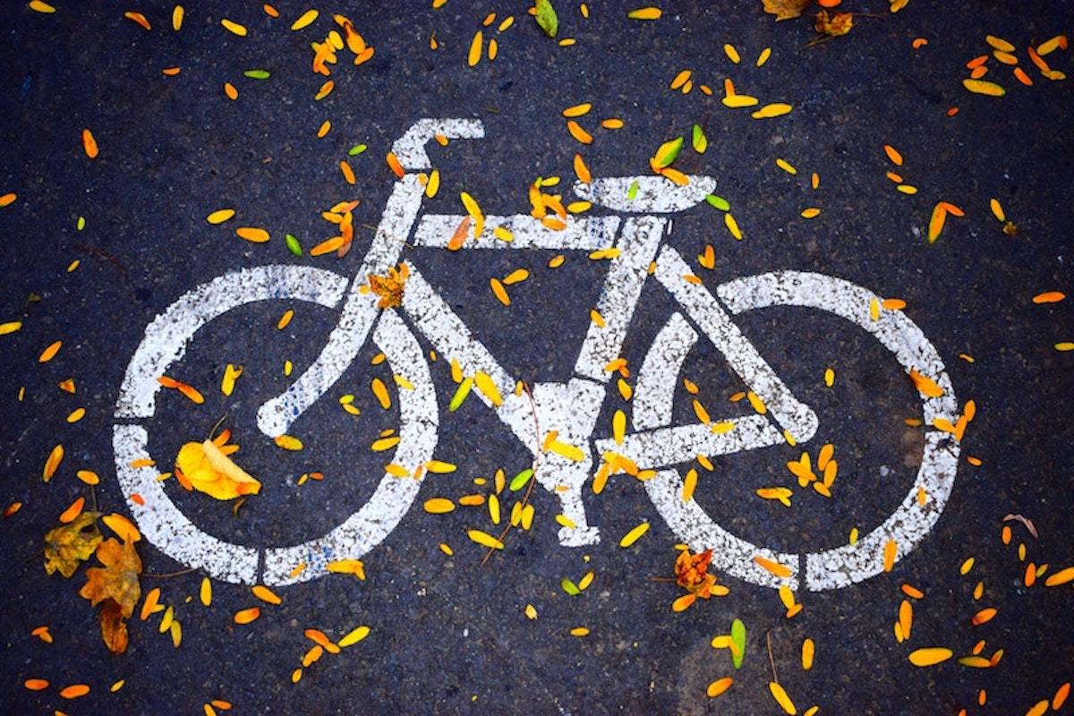 asphalt-bicycle-bike-686230-1