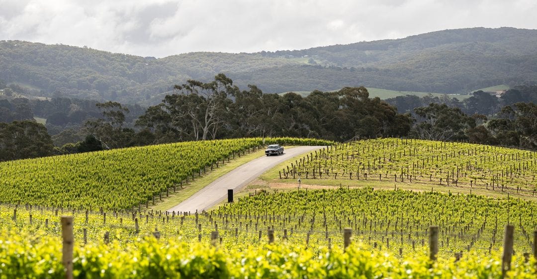 Best wineries to visit from Adelaide